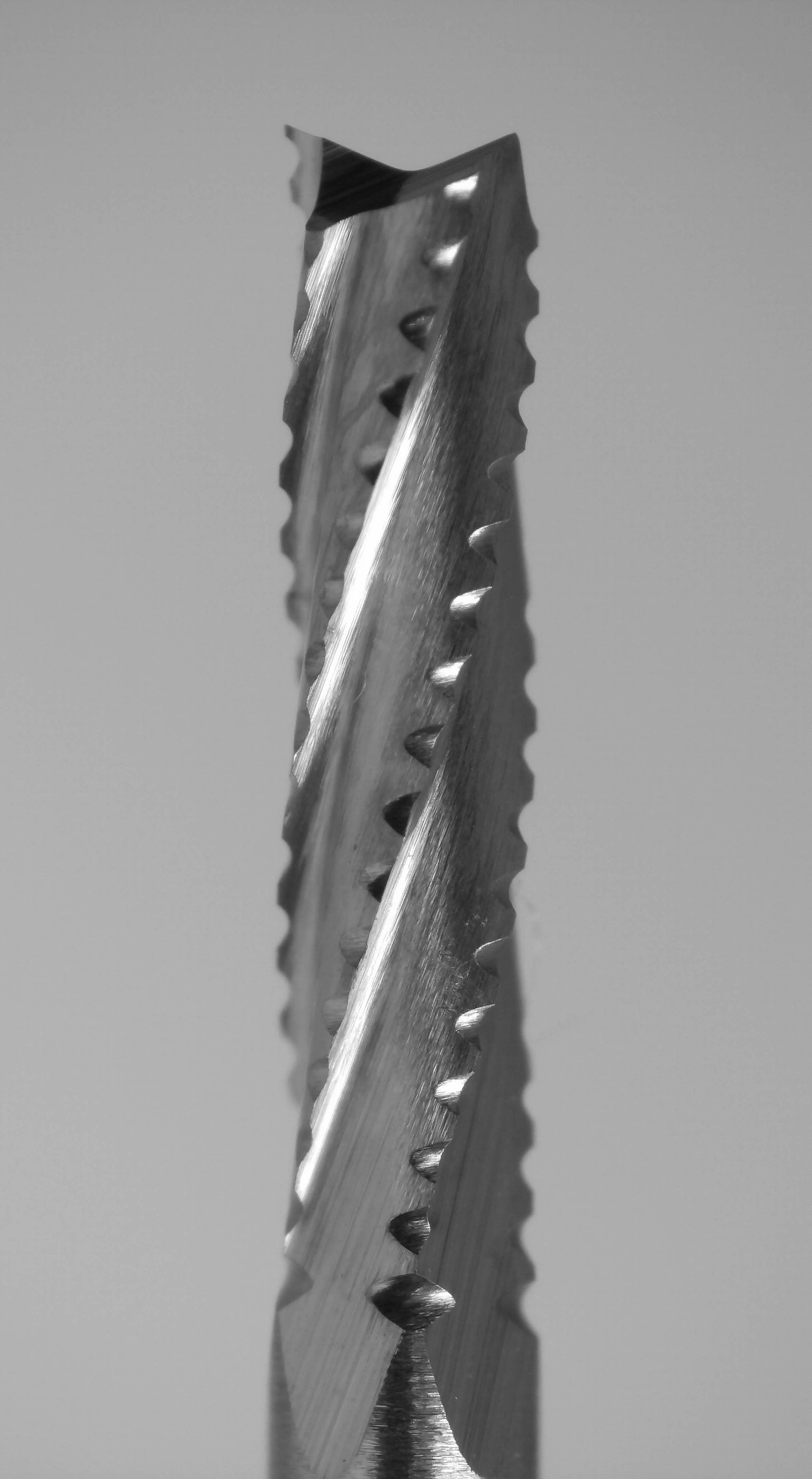 Fish tail tip detail on 1.40mm chip breaker carbide router