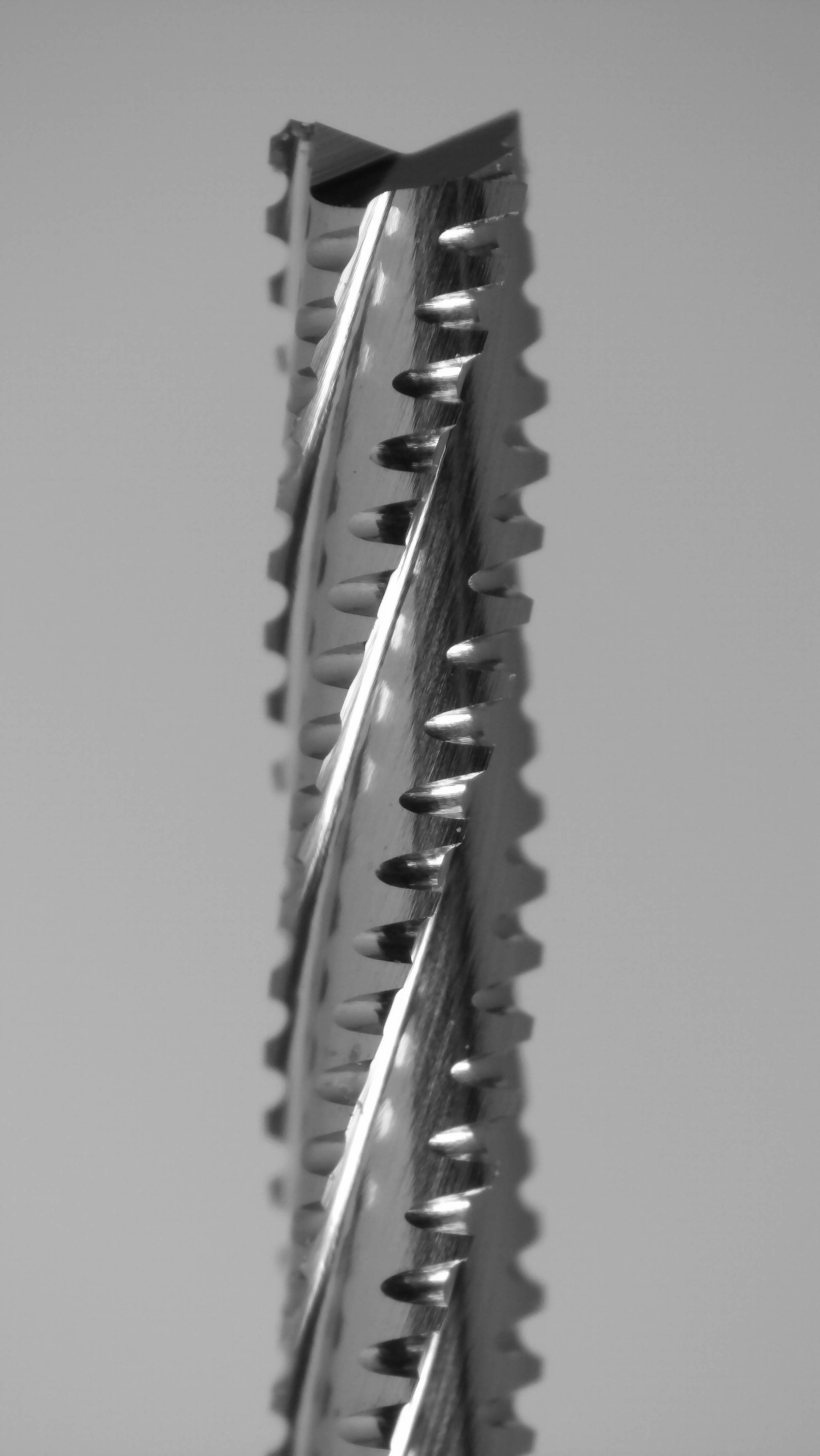 Fish tail tip detail on 1.50mm chip breaker carbide router