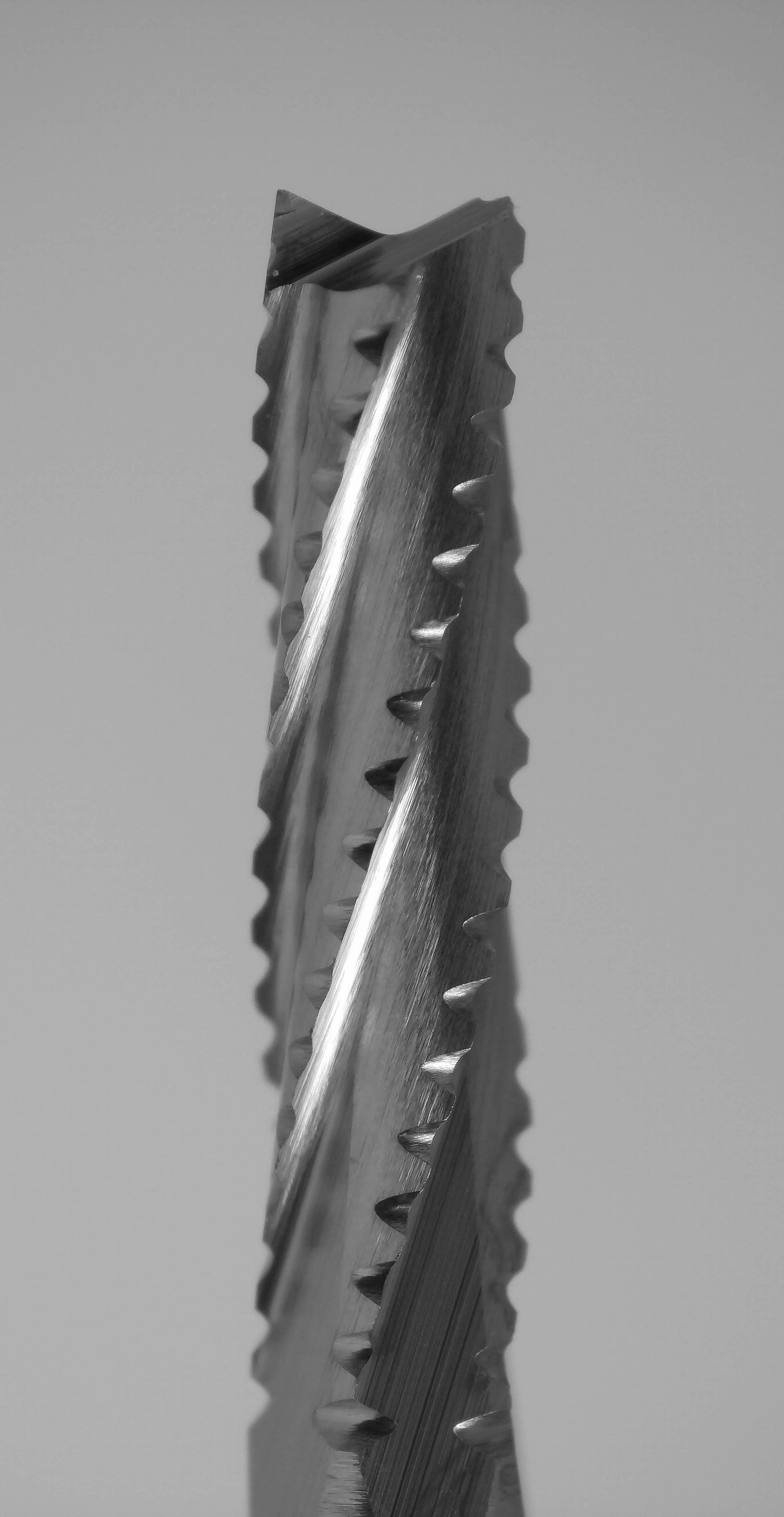 Fish tail tip detail on 1.70mm chip breaker carbide router