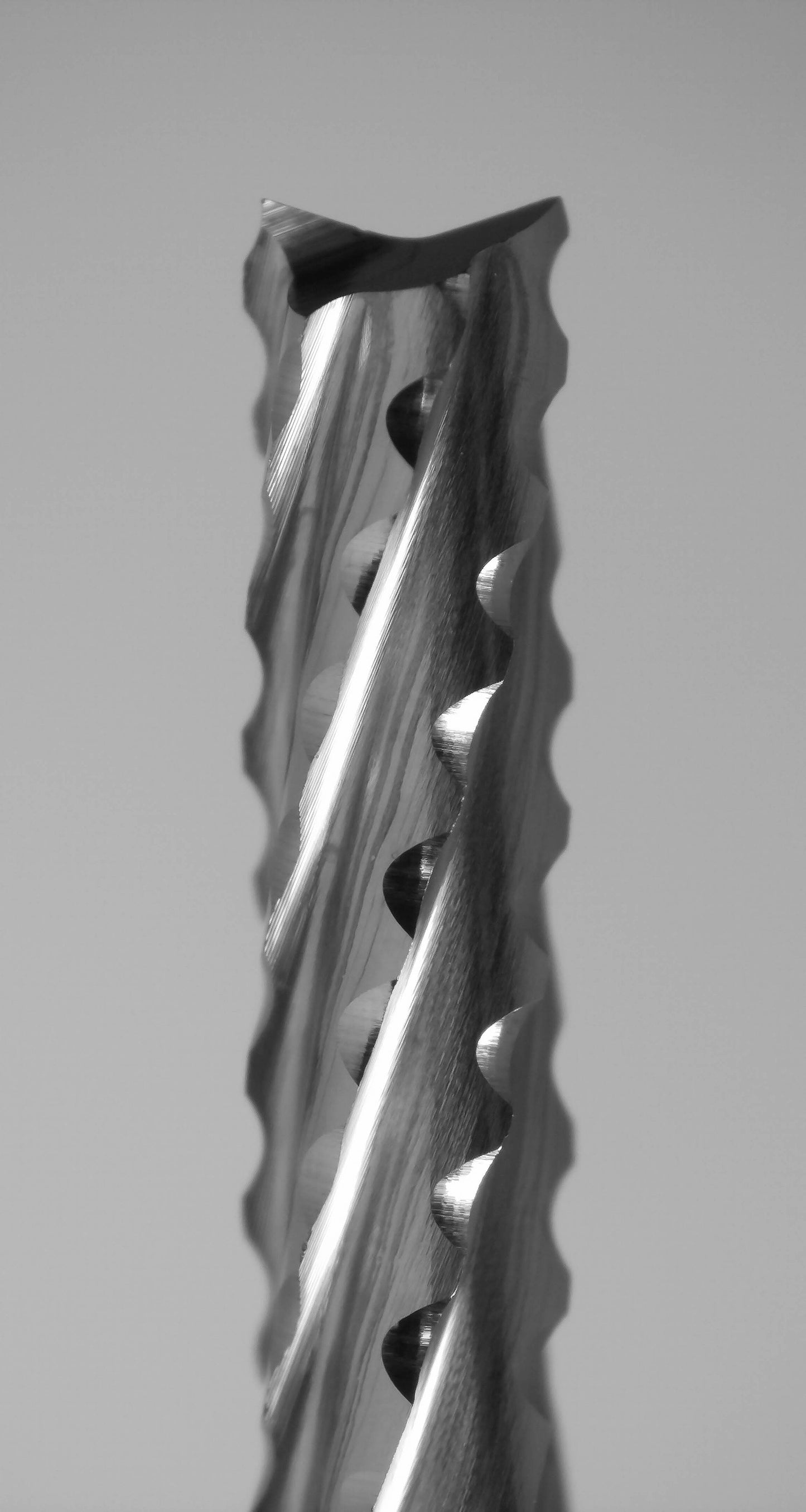 Fish tail tip detail on 2.00mm chip breaker carbide router