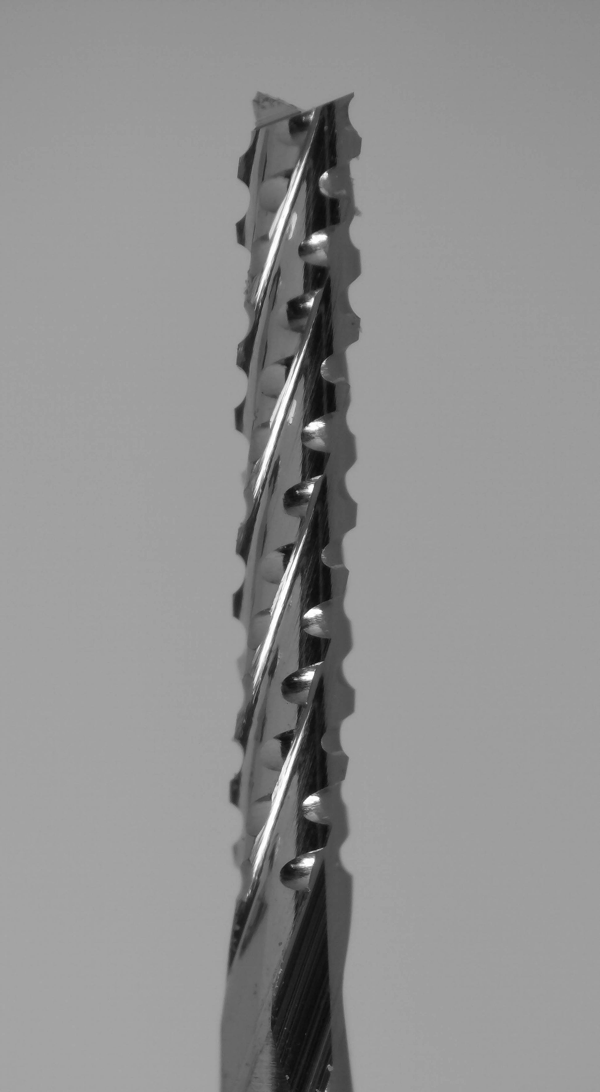 Fish tail tip on 1/32 inch chip breaker carbide router